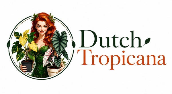 DUTCH TROPICANA